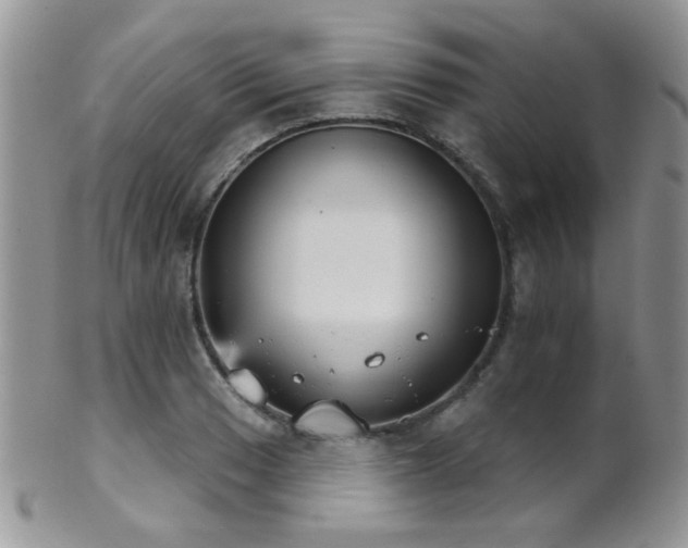 X0000102241033200807251255