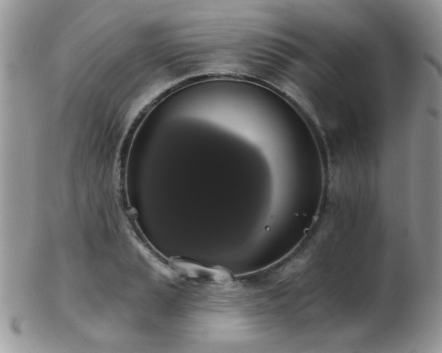 X0000102241037200807251255