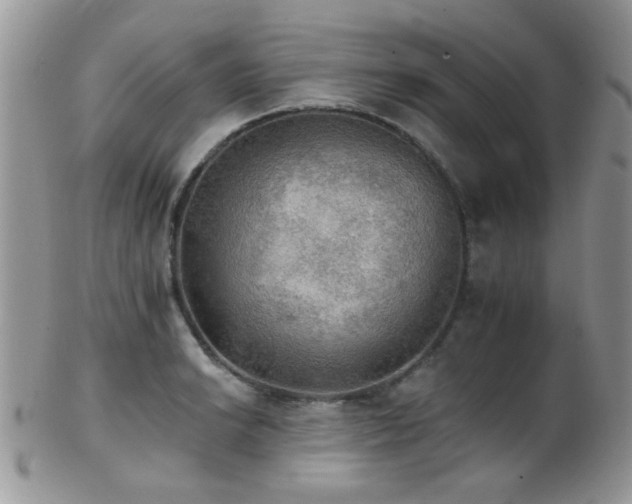 X0000102241038200807251255