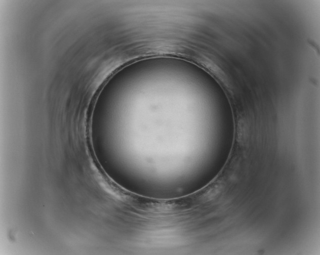 X0000102241039200807251255