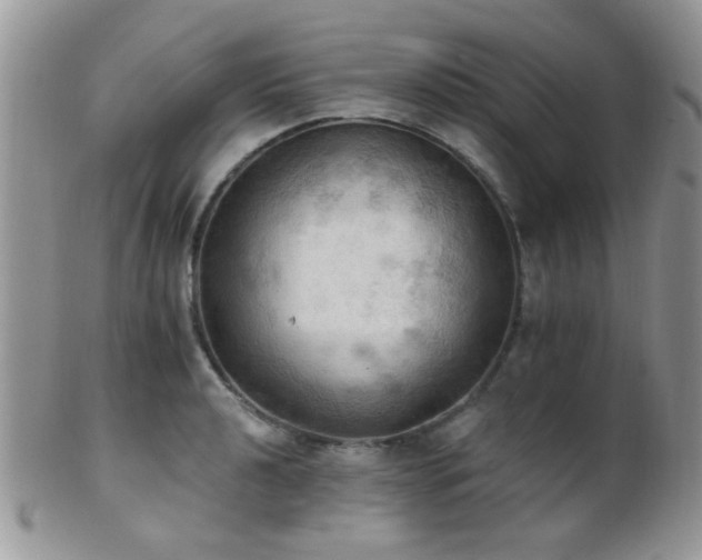 X0000102241040200807251255