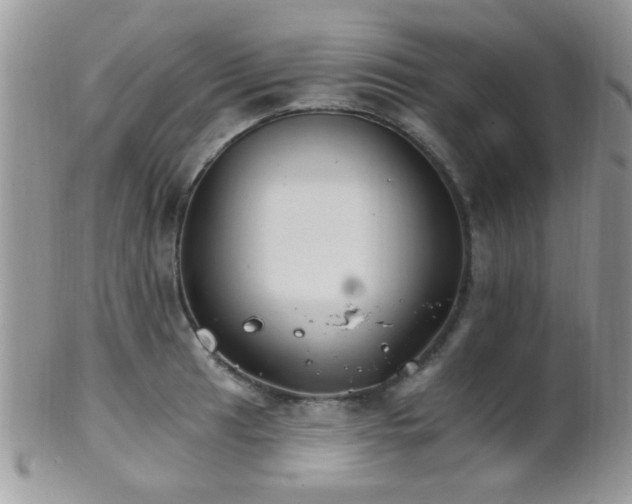 X0000102241041200807251255