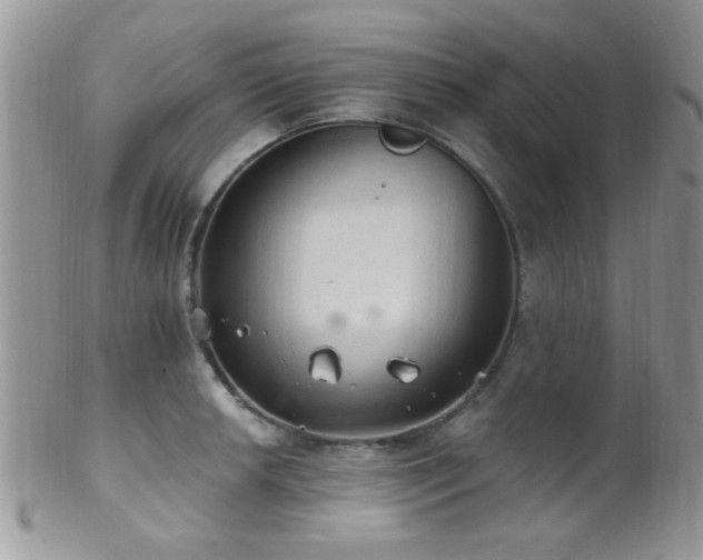 X0000102241042200807251255