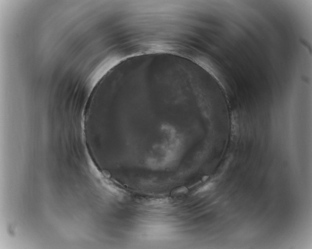 X0000102241047200807251255