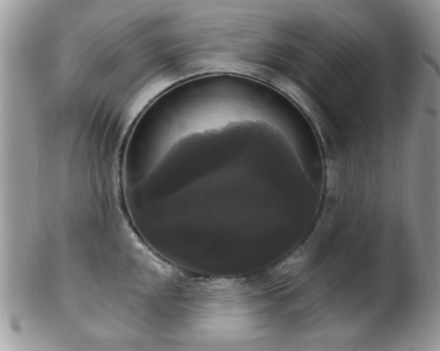 X0000102241048200807251255