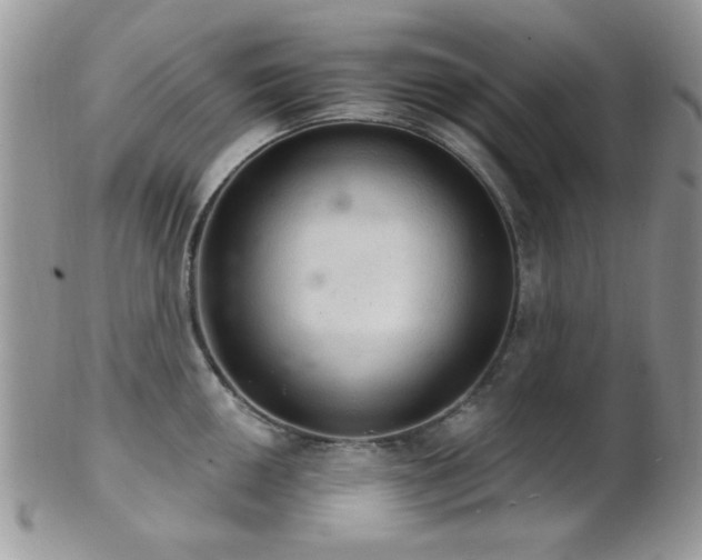 X0000102241050200807251255