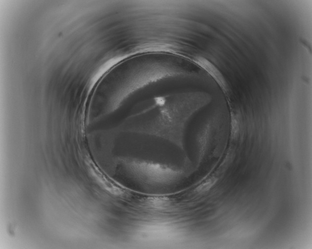 X0000102241052200807251255