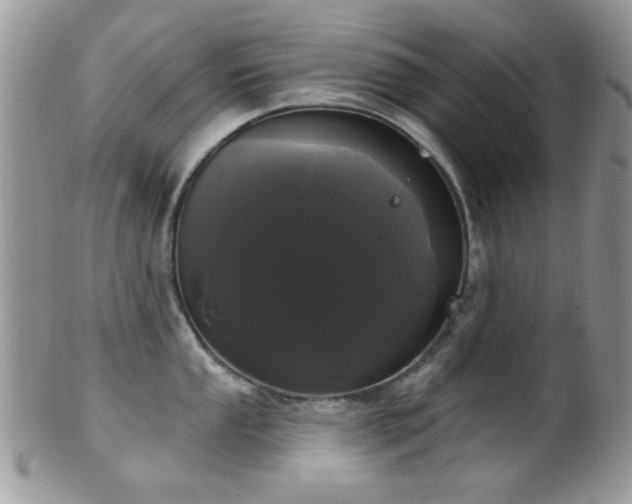 X0000102241053200807251255