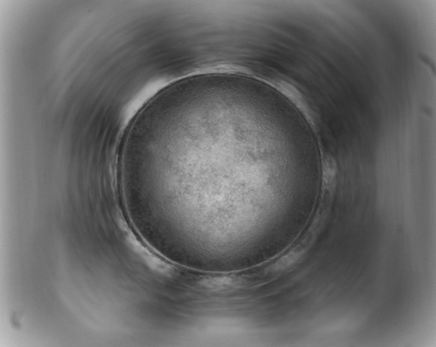 X0000102241054200807251255