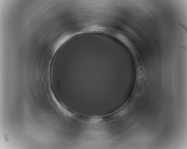 X0000102241055200807251255