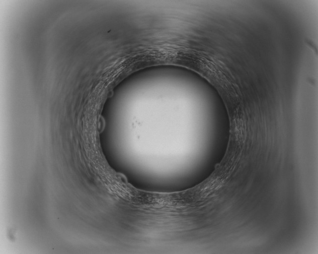 X0000102241057200807251254