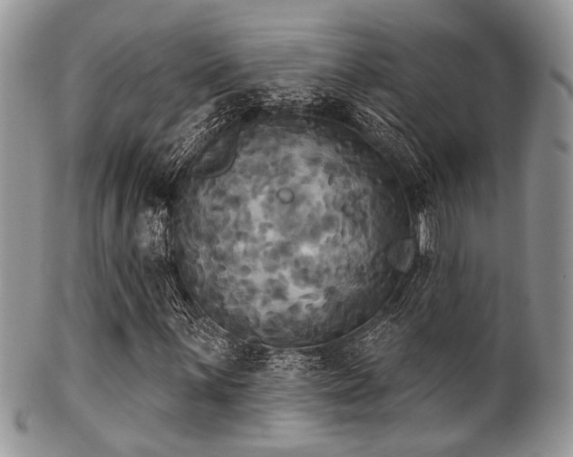 X0000102241059200807251254