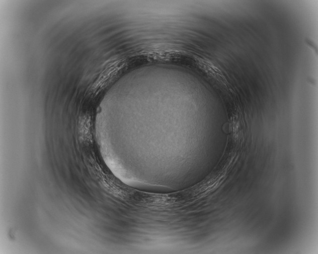 X0000102241060200807251254