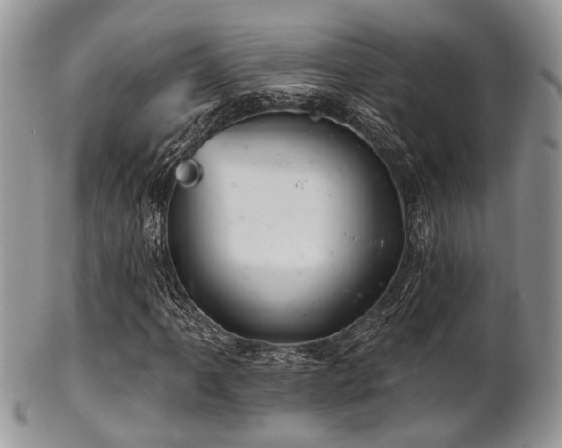 X0000102241061200807251254