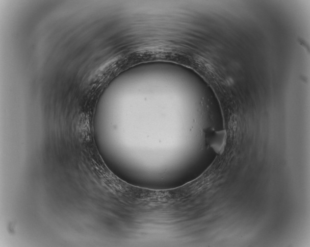 X0000102241062200807251254