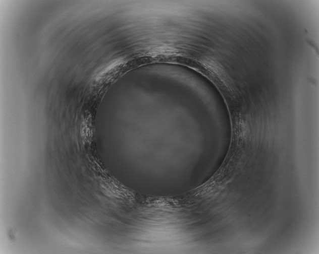 X0000102241063200807251254