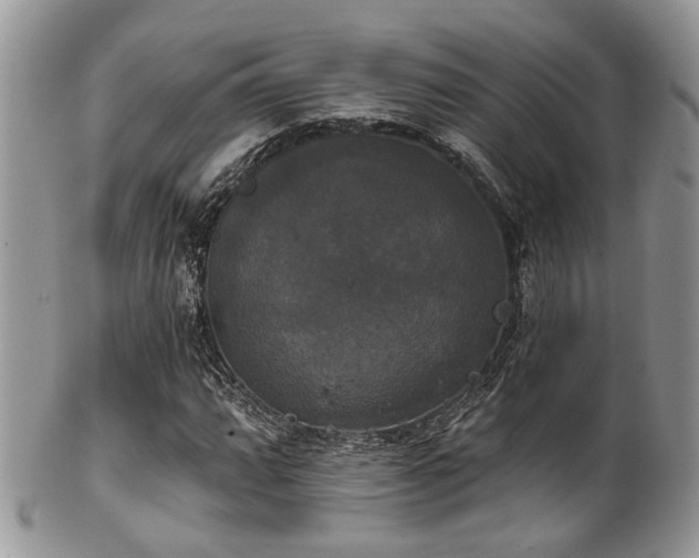 X0000102241064200807251254