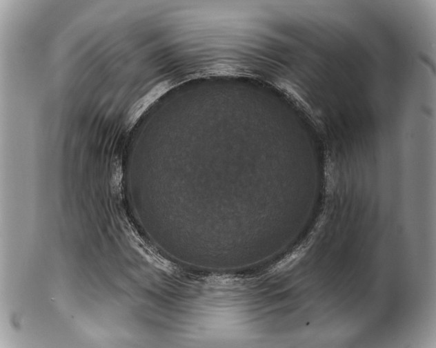 X0000102241065200807251254