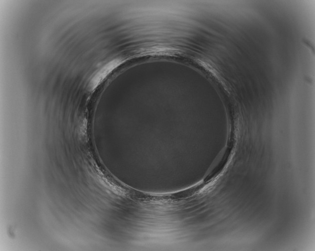 X0000102241066200807251254