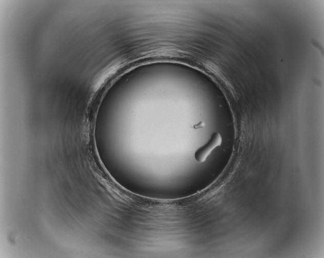 X0000102241067200807251254