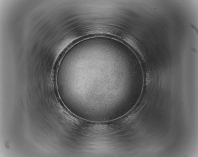 X0000102241068200807251254