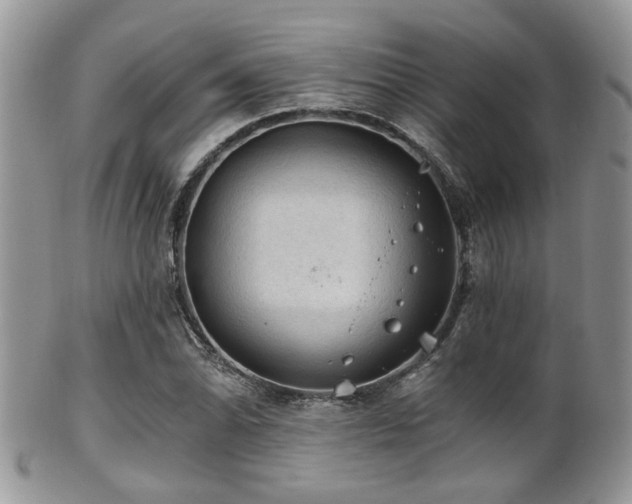 X0000102241070200807251254