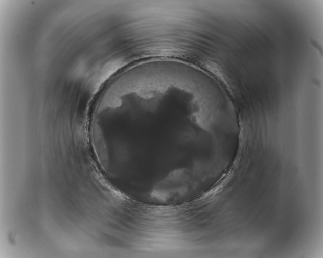 X0000102241071200807251254