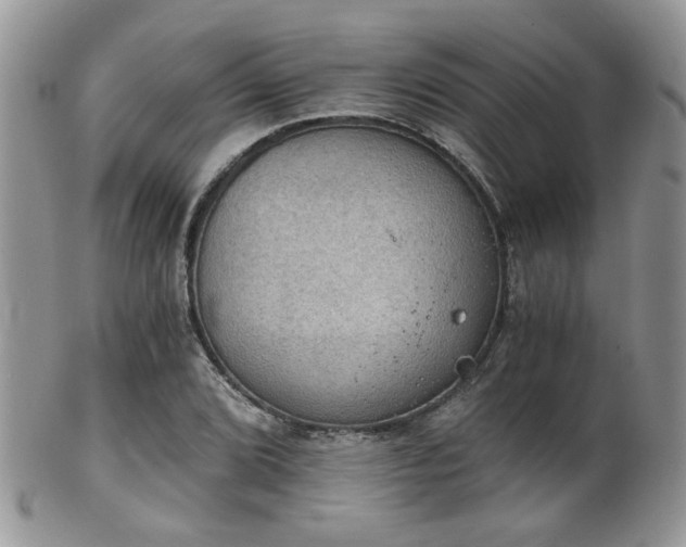 X0000102241072200807251254