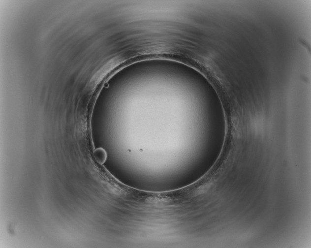 X0000102241073200807251254