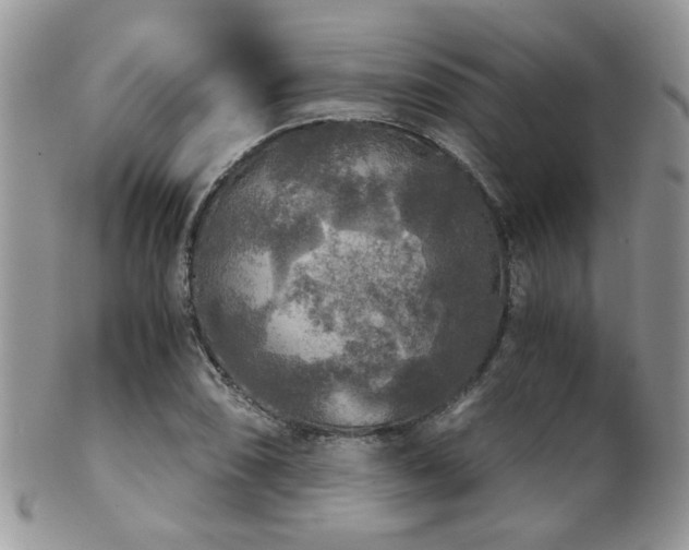 X0000102241074200807251254