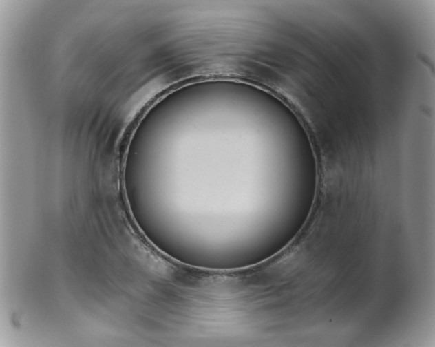 X0000102241075200807251254