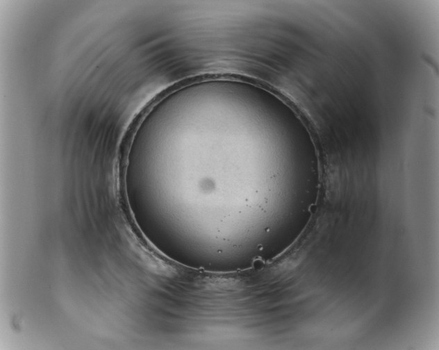 X0000102241076200807251254