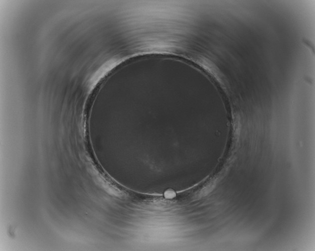 X0000102241077200807251254