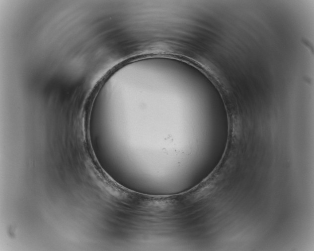 X0000102241078200807251254