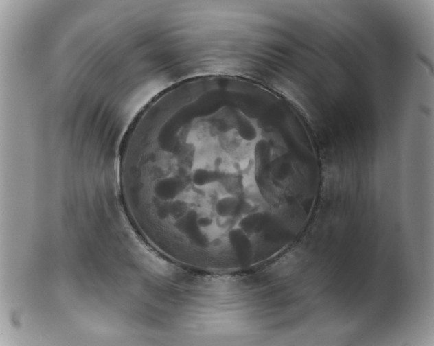 X0000102241079200807251254