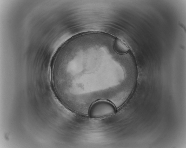 X0000102241080200807251254