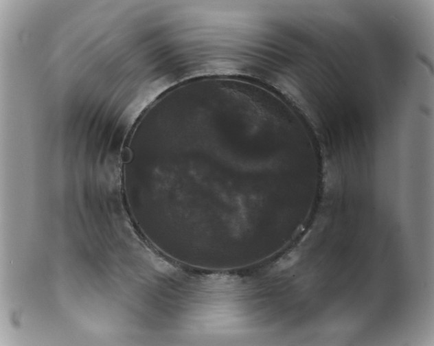 X0000102241081200807251254