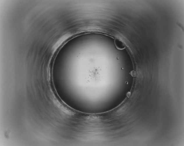 X0000102241082200807251254