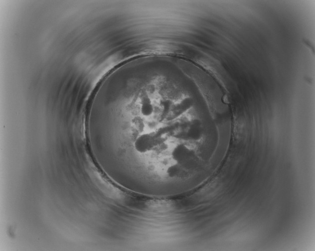 X0000102241083200807251254