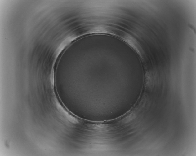 X0000102241084200807251254