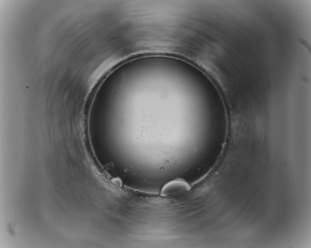 X0000102241085200807251254