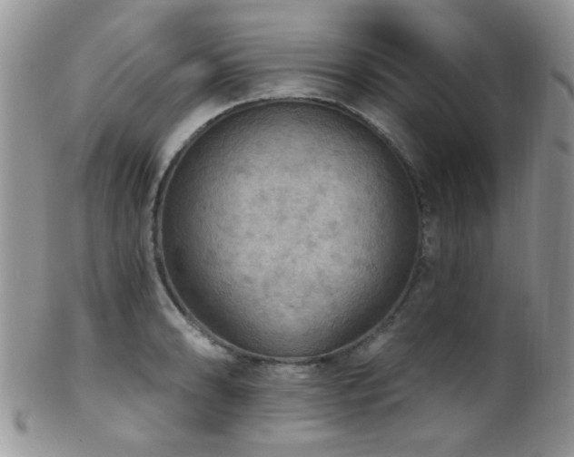 X0000102241086200807251254