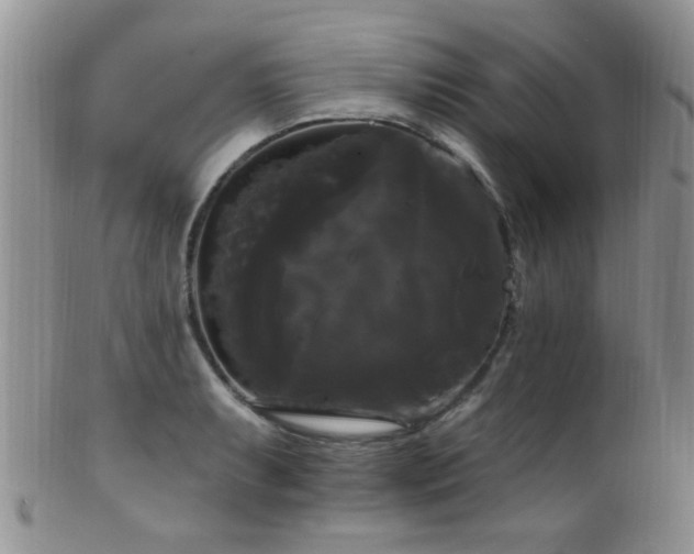 X0000102241087200807251254