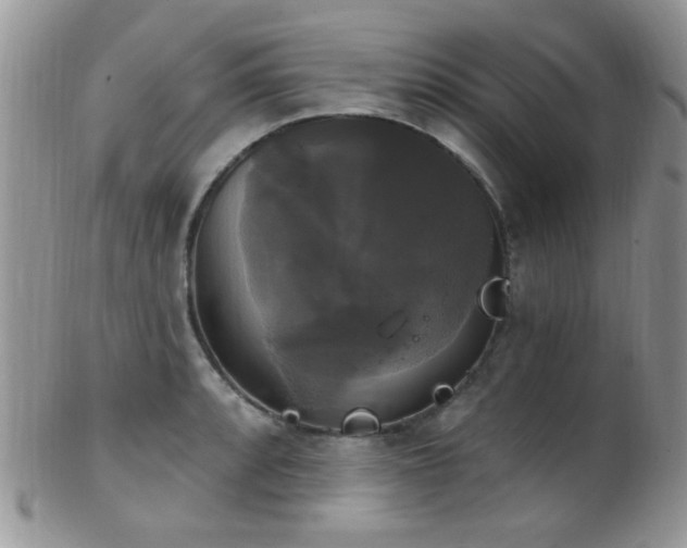 X0000102241088200807251254