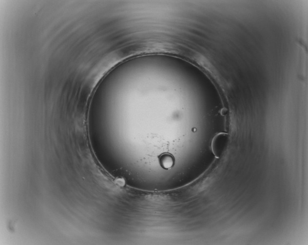 X0000102241089200807251254