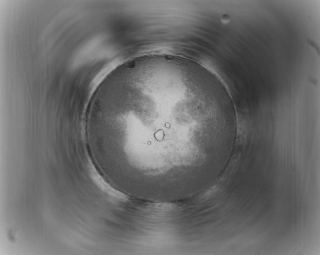 X0000102241090200807251254