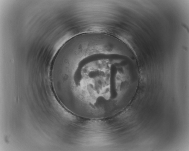 X0000102241091200807251254