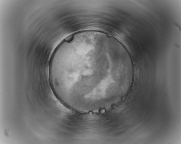 X0000102241092200807251254