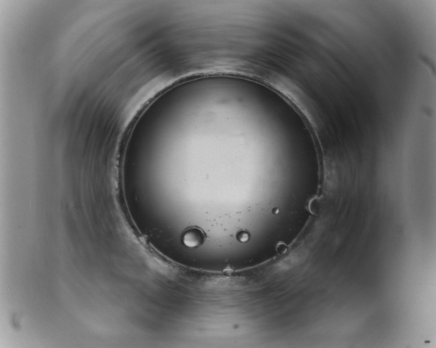 X0000102241093200807251254