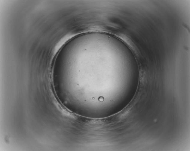 X0000102241094200807251254